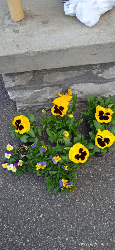 IMG_20220420_160157[1]