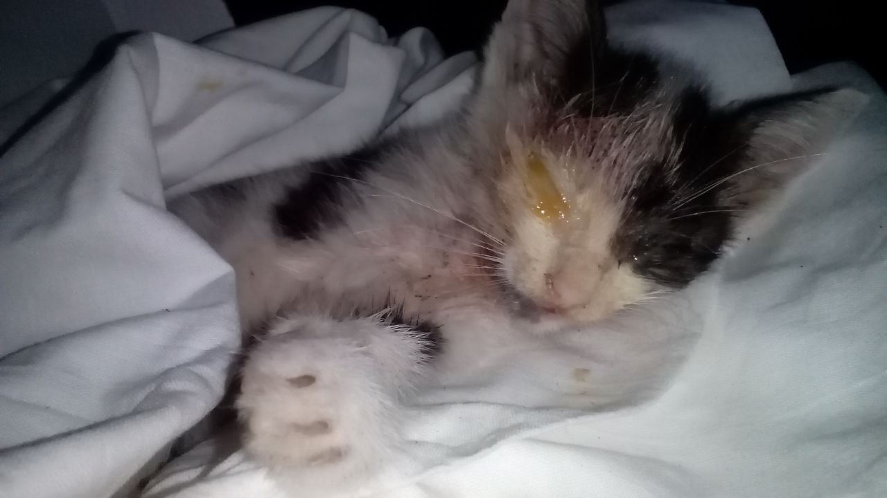 D63F227E-9F8E-4CC3-82CC-CFFEF0A1A55B