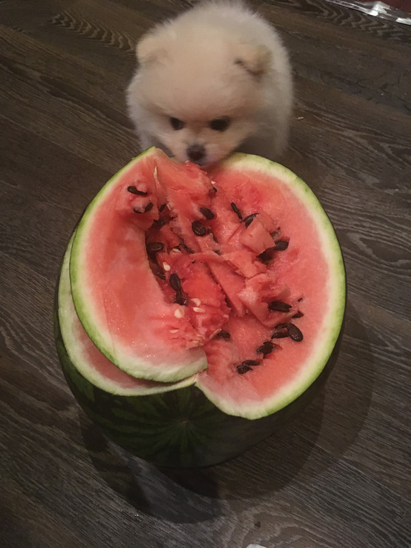 0D8F4D7F-83F3-463B-89F4-63DB24006F20