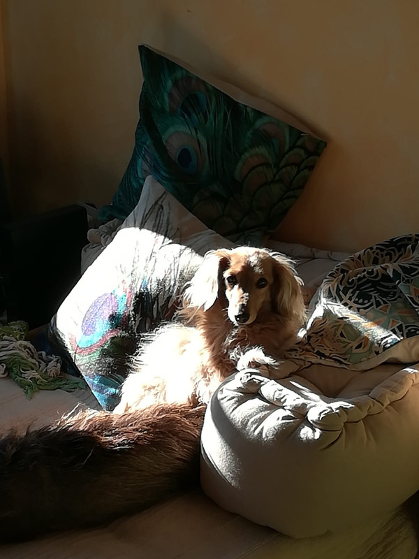 [Image: IMG-20201226-WA0001.jpg]