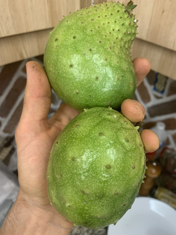 FDC9A43E-7E32-45CF-8681-C868C78B30C7