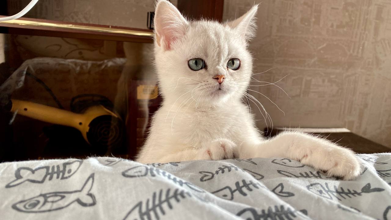 photo_2023-03-13_13-34-23