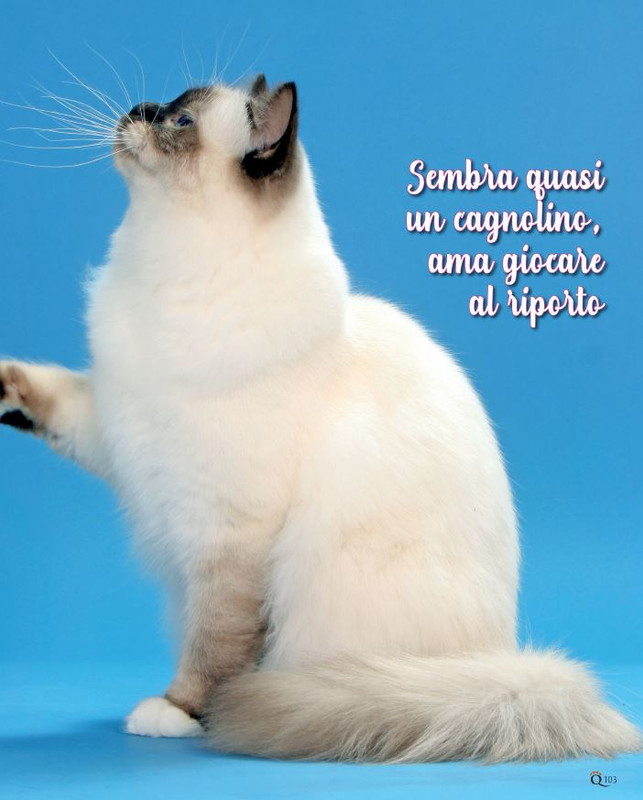 QuattroZampe Ago 2021 (8)