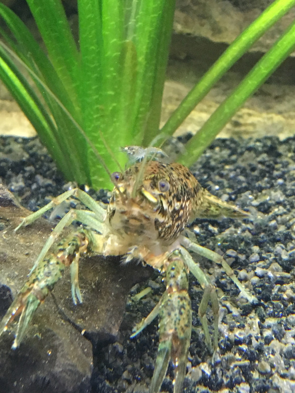 4DEFC6CF-60EE-4379-8ED8-AC3A2FCD12A1