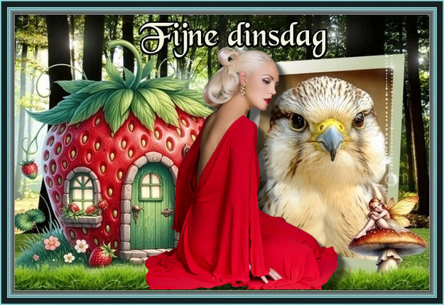 www.krabbelplaatjes.com