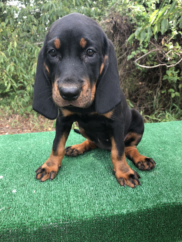 D26D79E3-EEA8-421B-BBAE-F51CE5B26C46