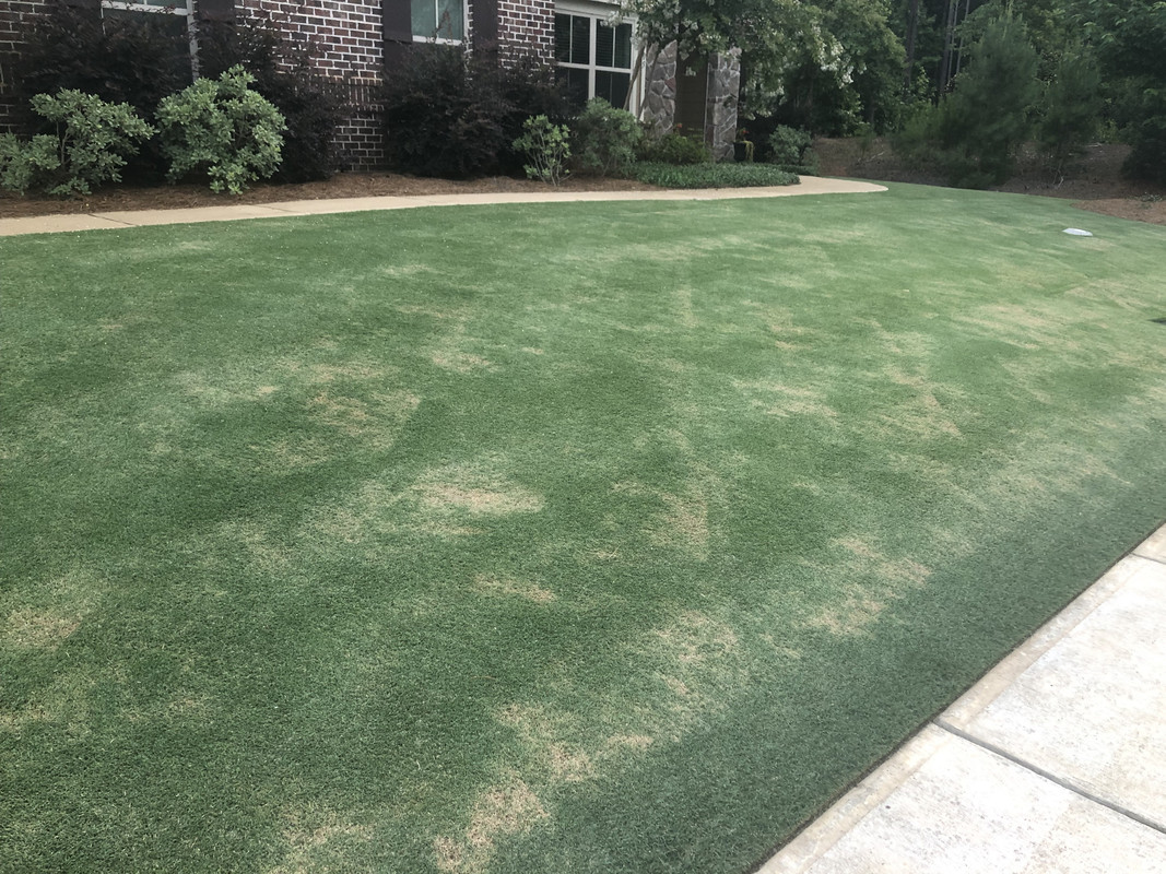 F5FCDEB2-1B78-45D2-B312-902DCDF75A90