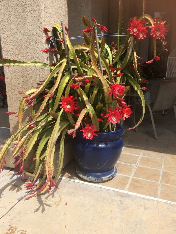 [Image: 7718761-F-1991-49-F9-9069-5-F89094-C0954.jpg]