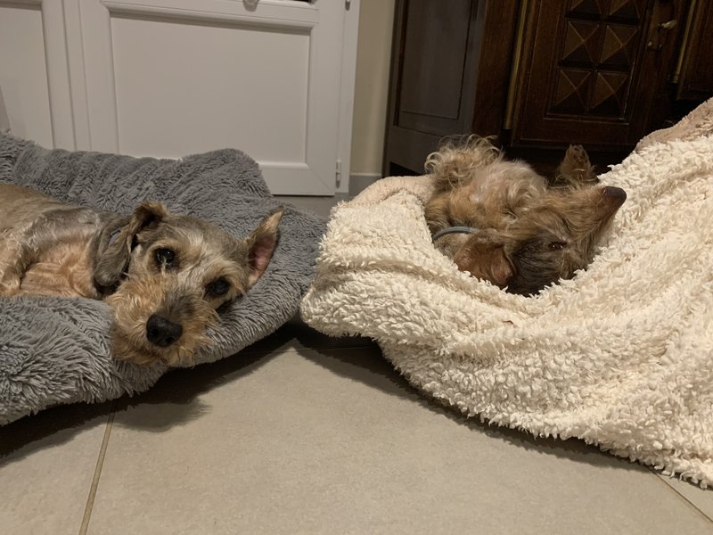 [Image: IMG-8419.jpg]