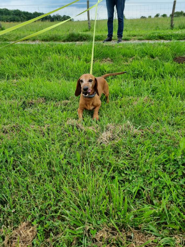 [Image: image000001-34.jpg]