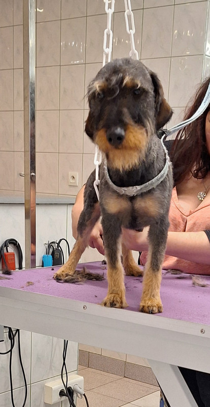 [Image: 20240117-172830.jpg]