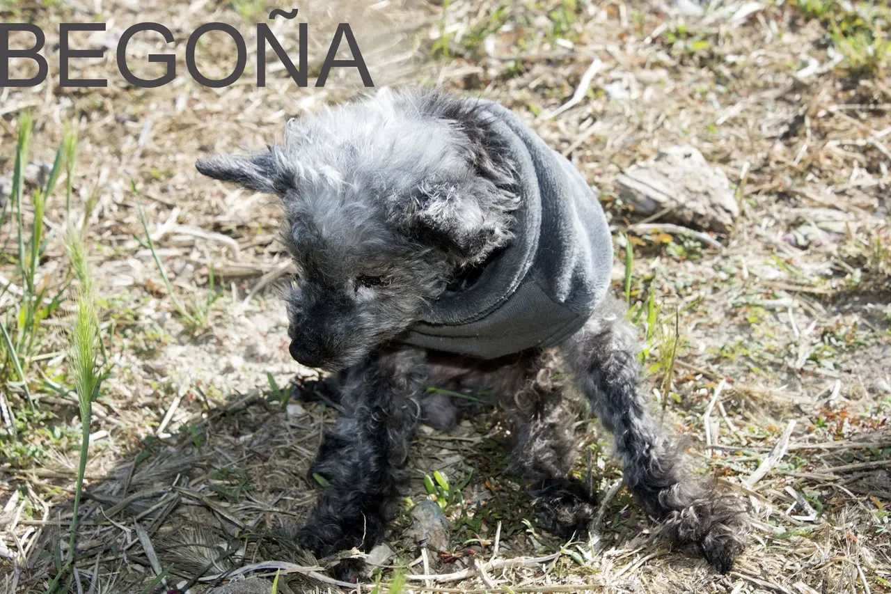 Begoña