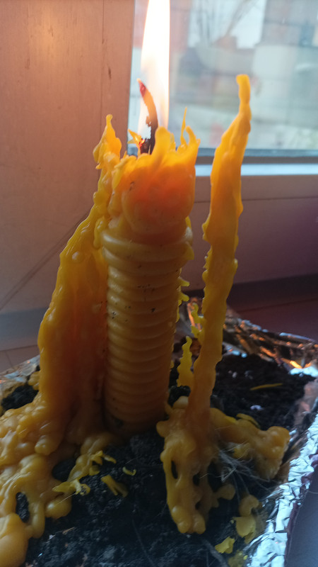 IMG-ffacc049d1cdf5ba75c074a3eaca9b19-V