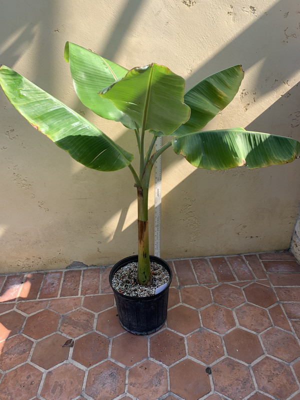 D697F2CF-F2CA-4979-8D5A-A724ACD88FD6