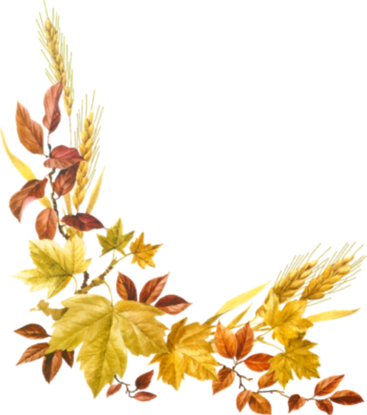 TADD_elements_ShimmerFall (52)