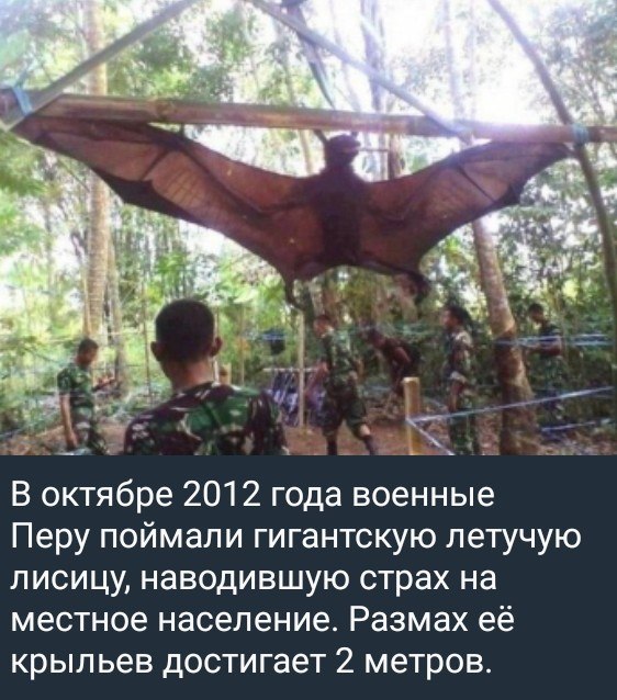 photo 2026 07 03 07 58 35
