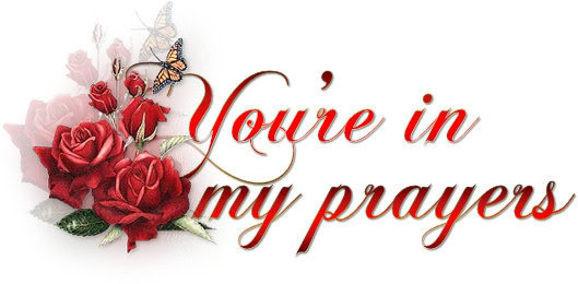 Your-In-My-Prayers-Roses01