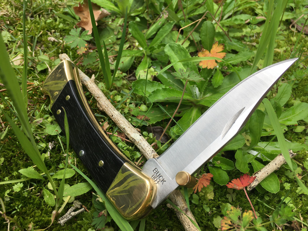 2EECC310-EC6B-4C7C-9A55-644A4EB1442E