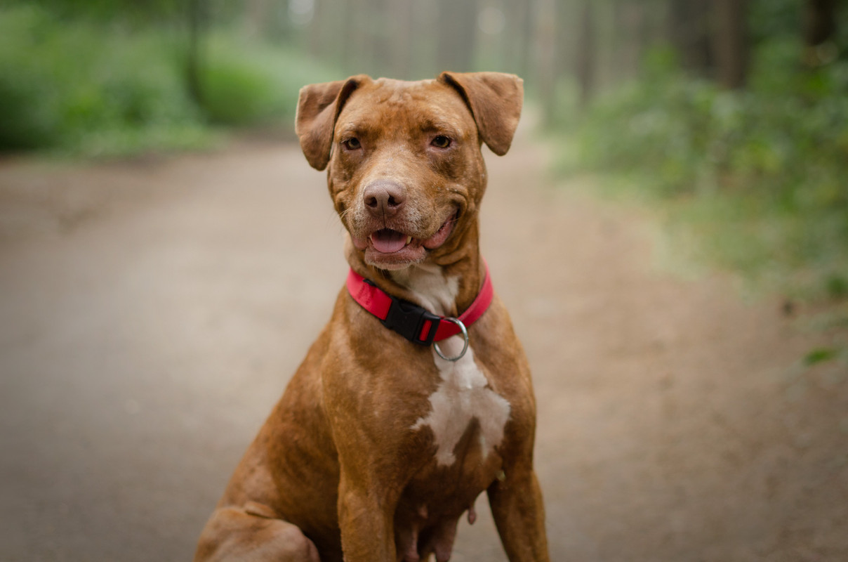 BBACD681-48B0-4E61-9547-798743F5B189