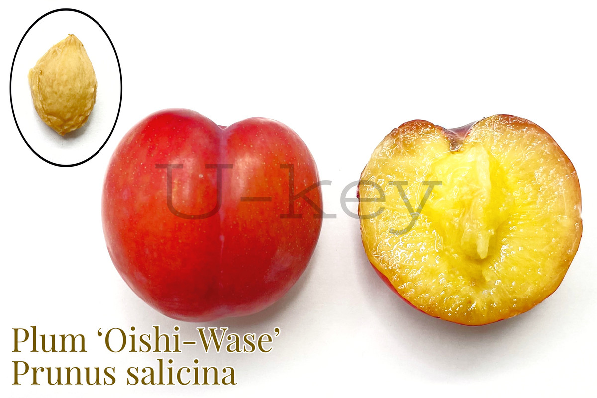 B9DD2D06-6473-48B0-A18E-CC0701F8ADEB