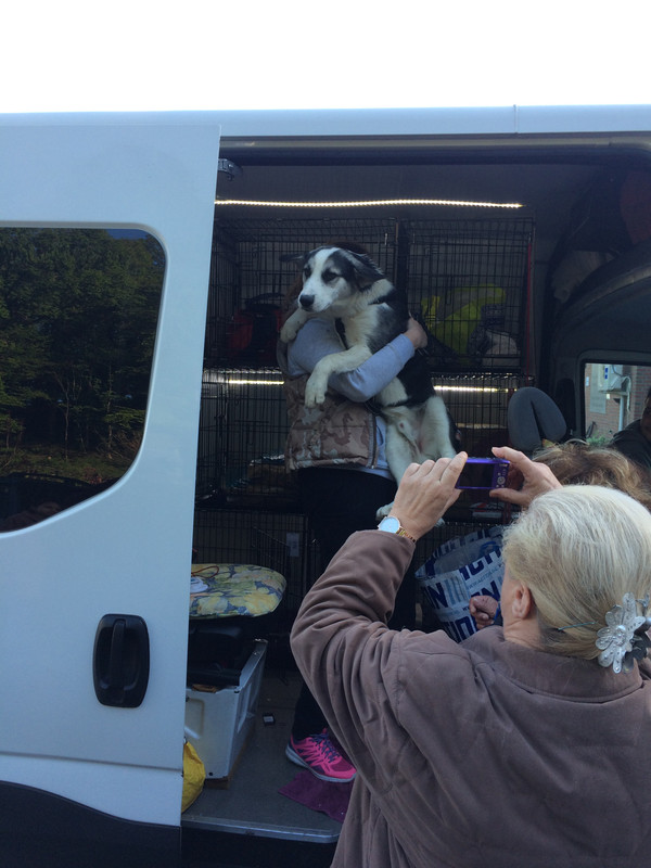 9ADBAEF5-E3B9-4FE4-90BF-D185C125B8EB