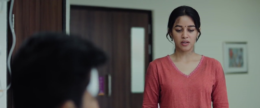 Romeo 2024 WebRip [Hindi + Tamil + Telugu + Malayalam + Kannada] 480p 720p 1080p ESub Screenshot