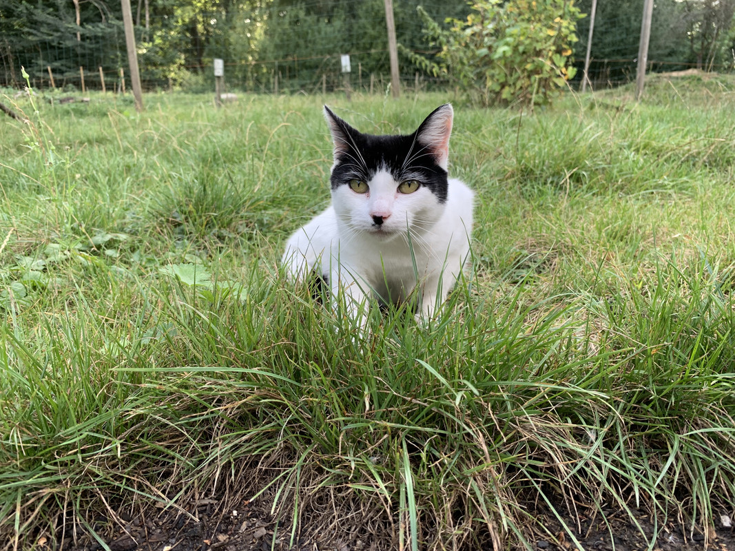 37588B3E-F911-4AE1-B410-FA0EE66FE556