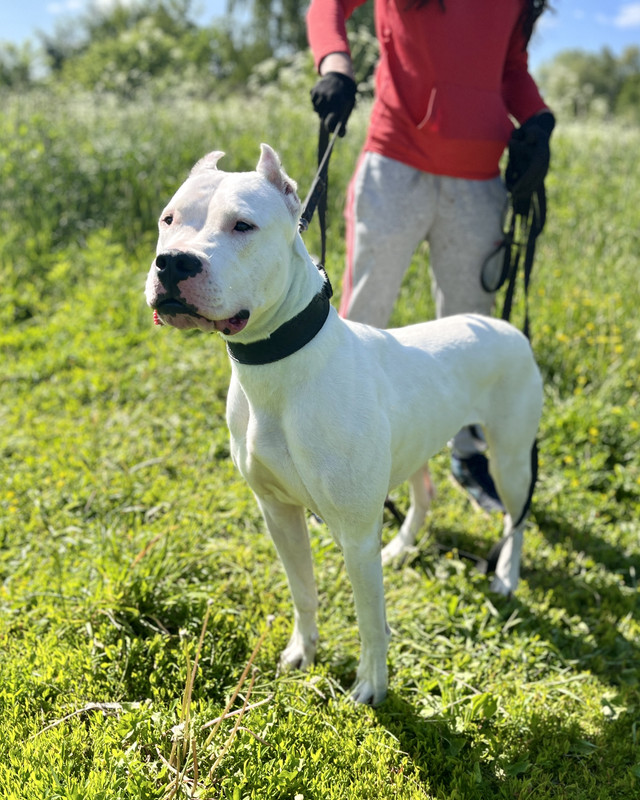 302483EA-2670-4C5A-B0E2-9E2598CCA296