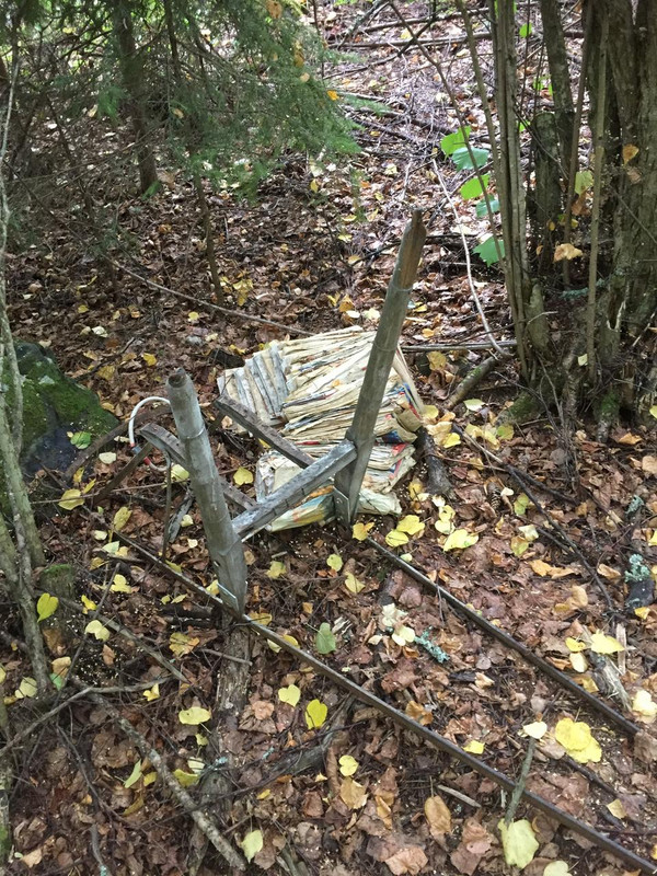 E9621D6C-23A6-4471-B9AE-2359A6ACE5EF