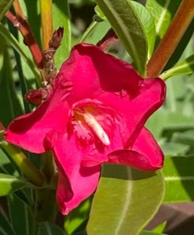 IMG_20220616_191344_437