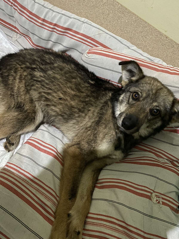 5B8A9774-0288-4D98-9094-4544222FFDC1