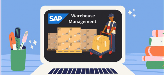 SAP WM Warehouse Management (Beginning to Advanced)