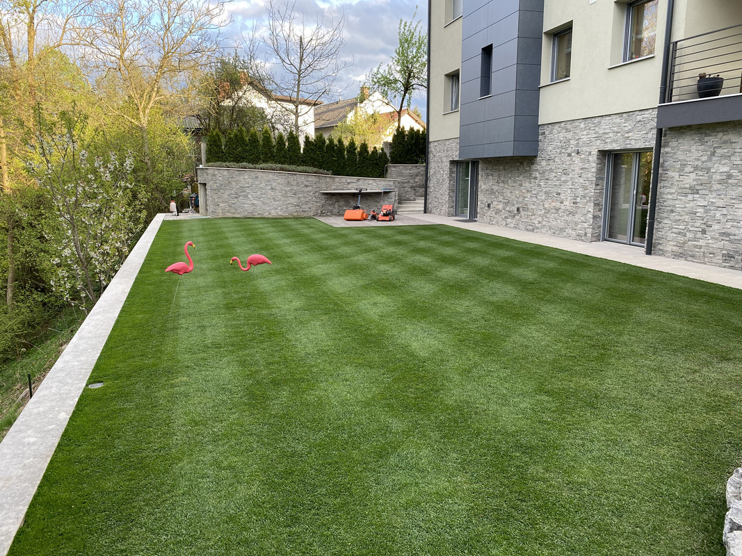 54795FBC-5546-4DCD-A8F1-07FCB1A91FDB