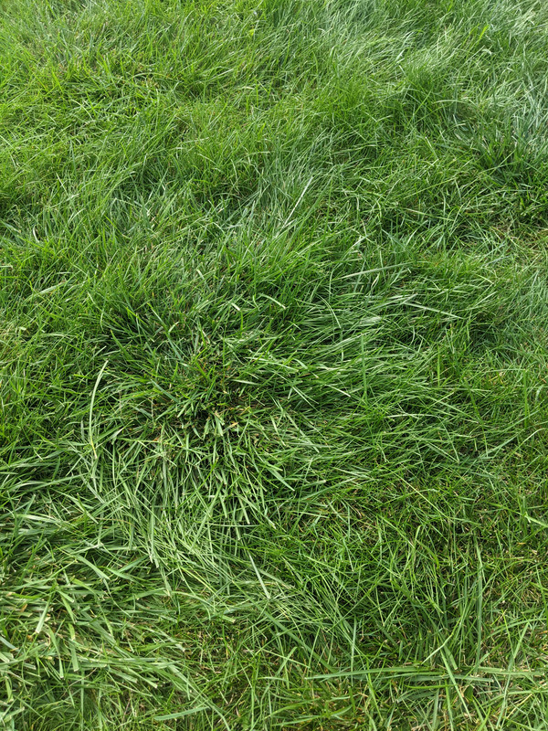 PXL_20210918_132049490