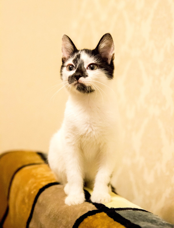 подросток-1-16