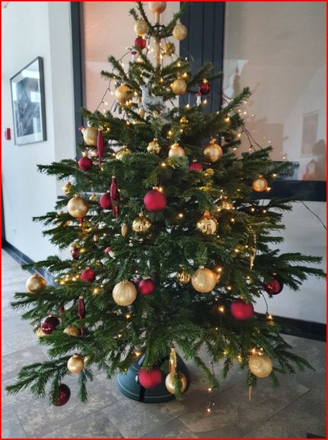 [Image: Capture.jpg]