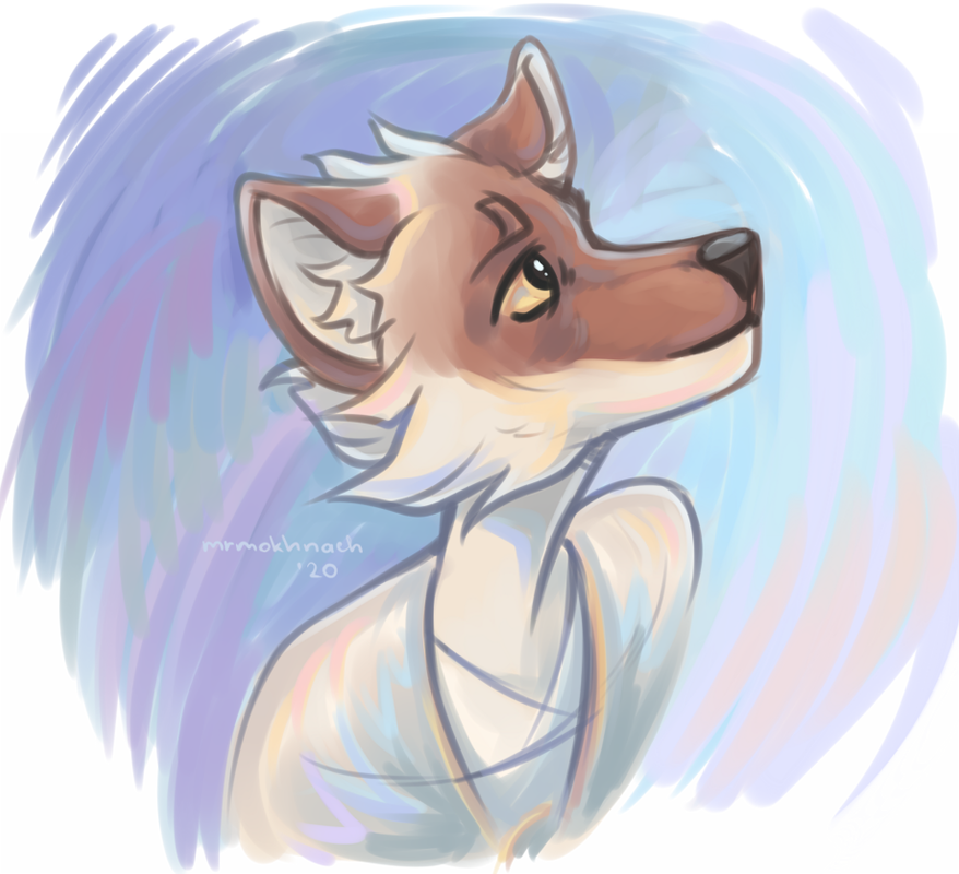 kisa.png