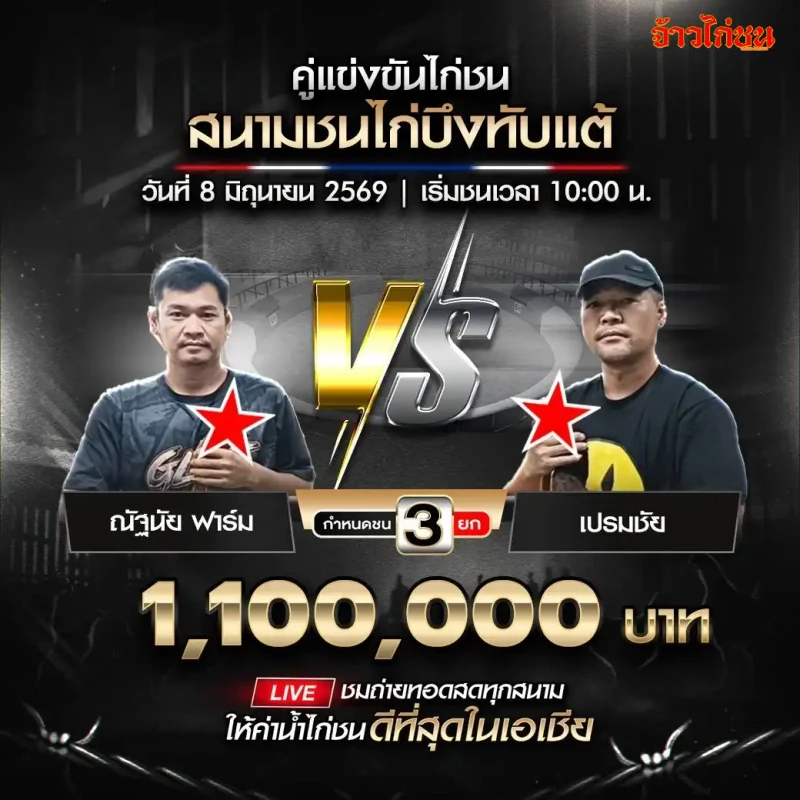 ณัฐนัย ฟาร์ม พบ เปรมชัย โปรแกรมไก่ชน สนามชนไก่บึงทับแต้ วันจันทร์ที่ 8 มิถุนายน 2569