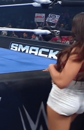 jan17j.gif