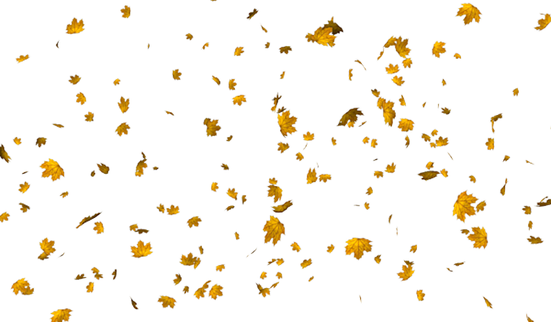 IPD_AH_Element (144)