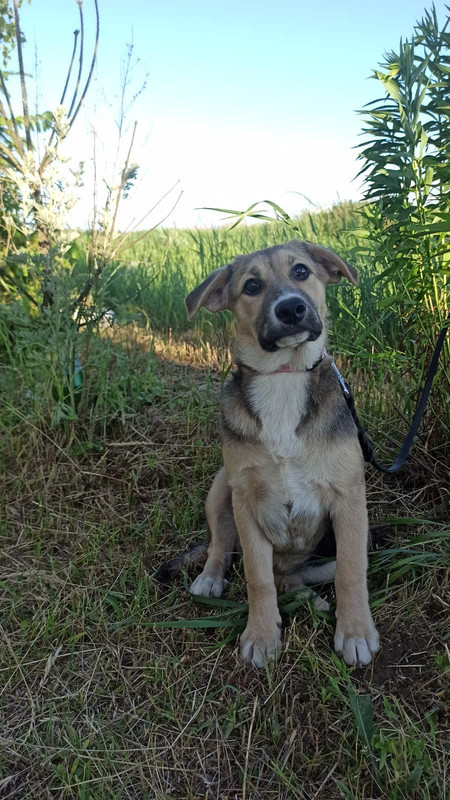 изображение_viber_2022-07-27_17-09-00-391