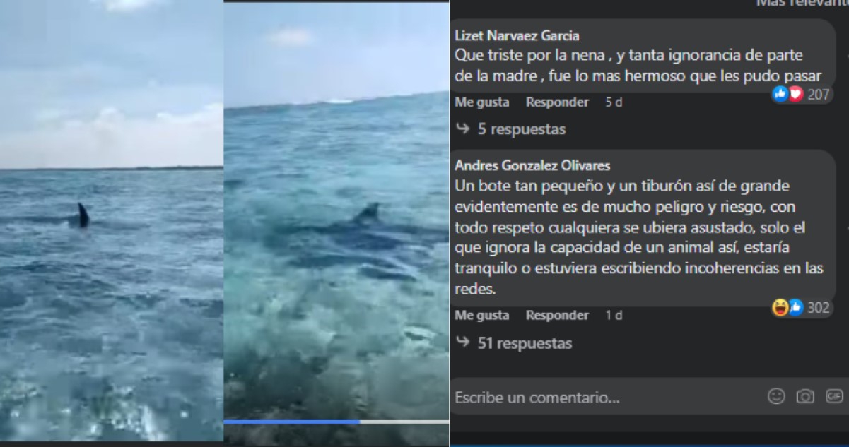 Tiburón asusta a familia en lancha, el enorme animal se acercó demasiado