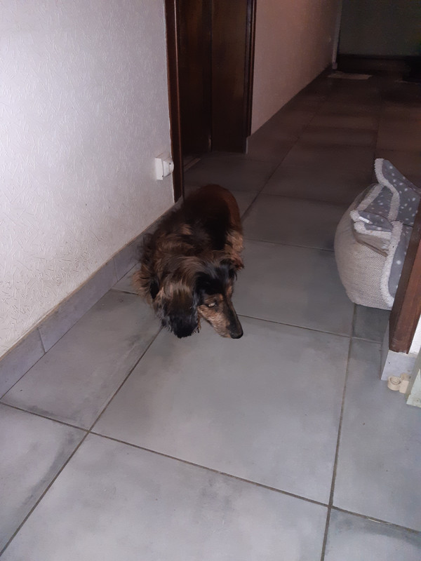 [Image: 20231201-072843.jpg]