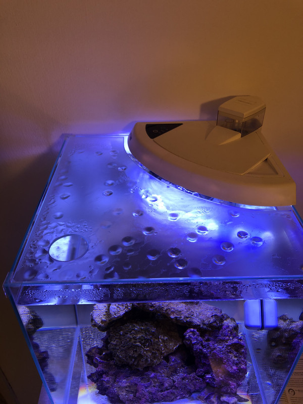 2ACCB232-9140-467A-9269-F13FDA1057E3