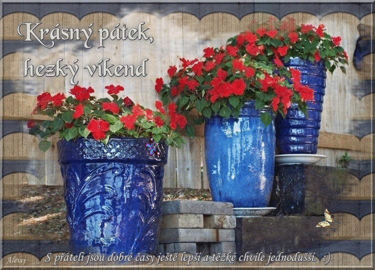 Krasny-patek-hezky-vikend.gif