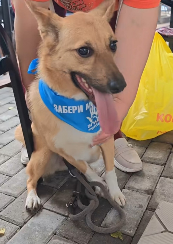 QRiLjUN5vbVA3a3iOmOK2C3W_L3cQcAdvvVfqqU8C_-WTAi44x2XU77K4kJ8k-fcwA0zP7cxB8-Yd6De1PeXEGLh