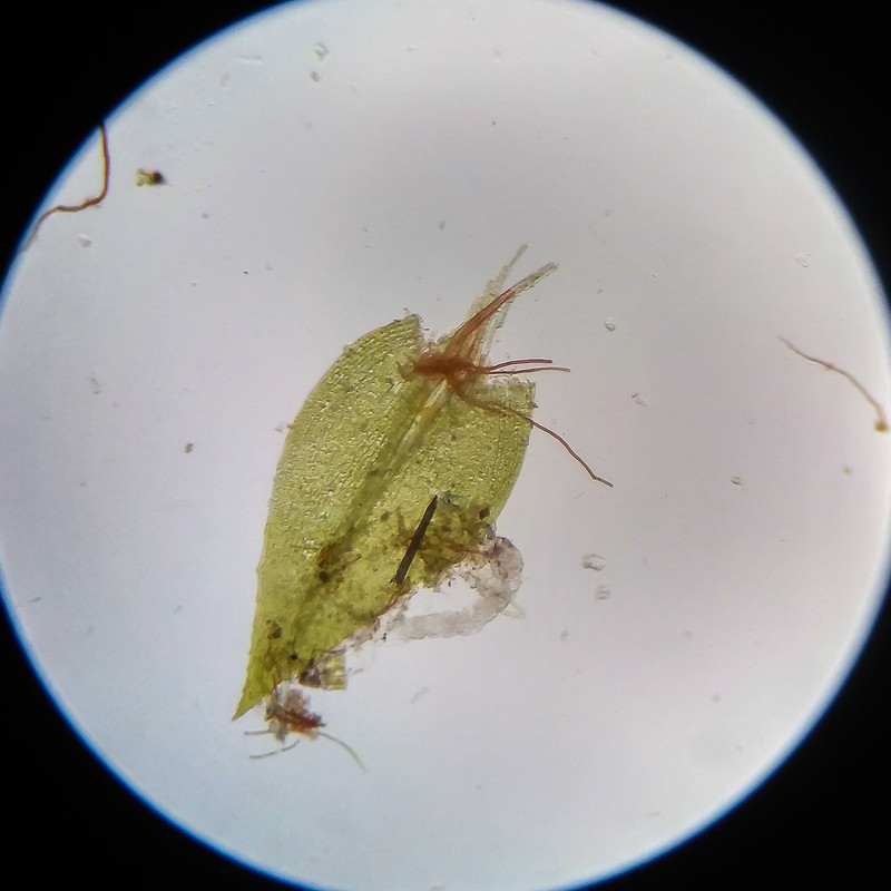 IMG 20250617 115223 HDR