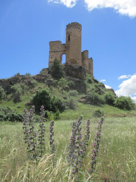 CASTILLOS DE GUADALAJARA, Monumento-España (14)