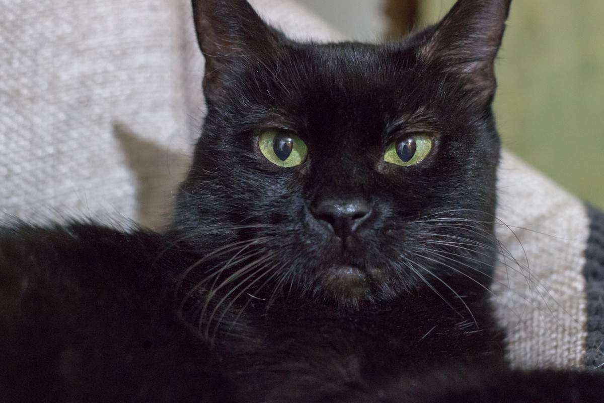 30CCB921-05C2-4EF6-BBE6-B7CB8876BB76