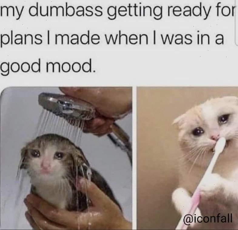 Its meme time 24hourcampfire